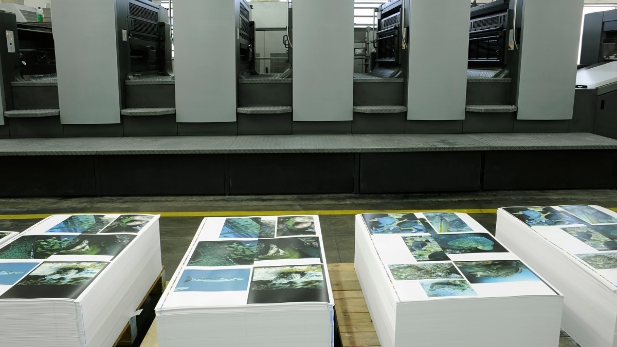 Stacks of printed pages with colorful images lie in front of large industrial printing machines, showcasing the efficiency of both large format printing and small format printing in a bustling facility.